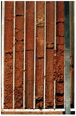 cores.jpg - 20164 Bytes