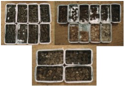 coresamp.jpg - 16279 Bytes